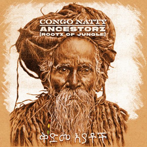 Ancestorz (Rootz of Jungle) album cover