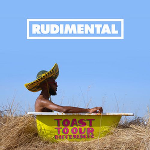 Toast to Our Differences album cover