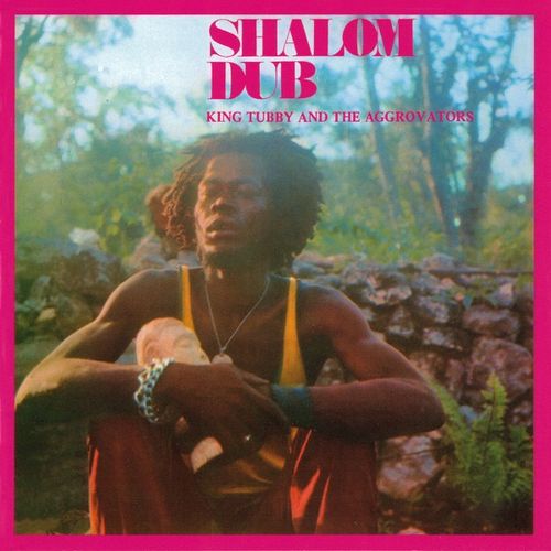 Shalom Dub (with The Aggrovators) album cover
