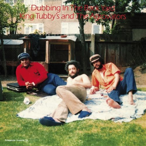 Dubbing in the Backyard (with The Aggrovators) album cover
